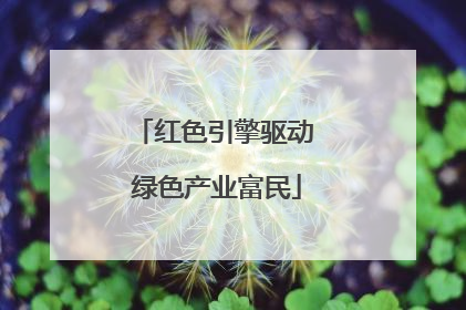 红色引擎驱动 绿色产业富民