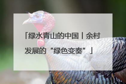 绿水青山的中国丨余村发展的“绿色变奏”