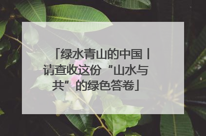 绿水青山的中国丨请查收这份“山水与共”的绿色答卷