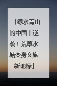 绿水青山的中国丨逆袭！荒草水塘变身文旅新地标