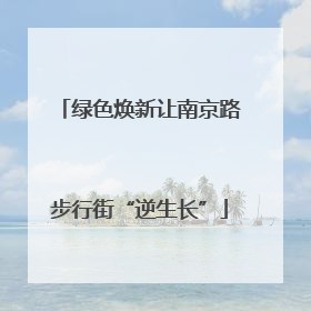 绿色焕新让南京路步行街“逆生长”