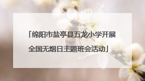 绵阳市盐亭县五龙小学开展全国无烟日主题班会活动