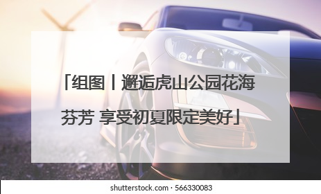 组图丨邂逅虎山公园花海芬芳 享受初夏限定美好