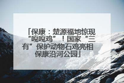 保康：楚源福地惊现“嘎嘎鸡”！国家“三有”保护动物石鸡亮相保康沿河公园