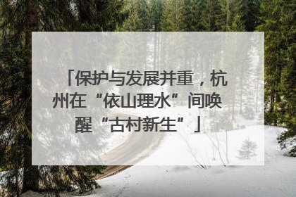 保护与发展并重，杭州在“依山理水”间唤醒“古村新生”