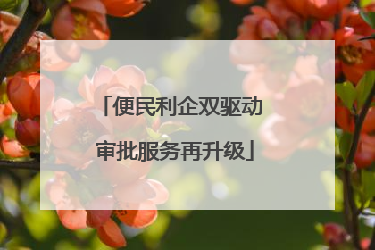 便民利企双驱动 审批服务再升级