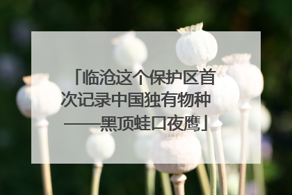 临沧这个保护区首次记录中国独有物种——黑顶蛙口夜鹰