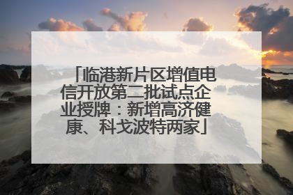 临港新片区增值电信开放第二批试点企业授牌：新增高济健康、科戈波特两家