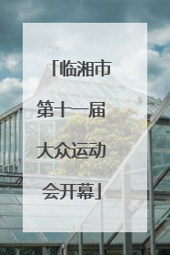 临湘市第十一届大众运动会开幕