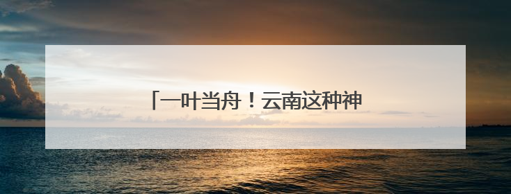 一叶当舟！云南这种神奇植物进入最佳观赏期