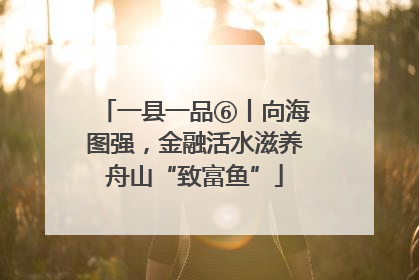 一县一品⑥丨向海图强，金融活水滋养舟山“致富鱼”