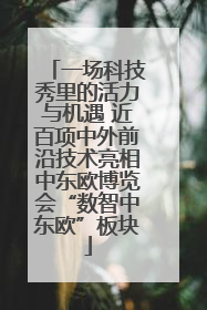 一场科技秀里的活力与机遇 近百项中外前沿技术亮相中东欧博览会“数智中东欧”板块