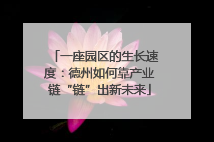 一座园区的生长速度：德州如何靠产业链“链”出新未来