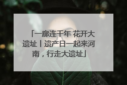 一廊连千年 花开大遗址丨遗产日一起来河南，行走大遗址