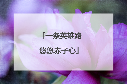 一条英雄路 悠悠赤子心