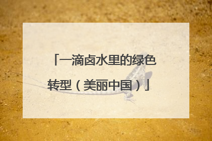 一滴卤水里的绿色转型（美丽中国）