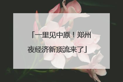 一里见中原！郑州夜经济新顶流来了