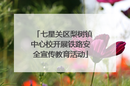 七星关区梨树镇中心校开展铁路安全宣传教育活动