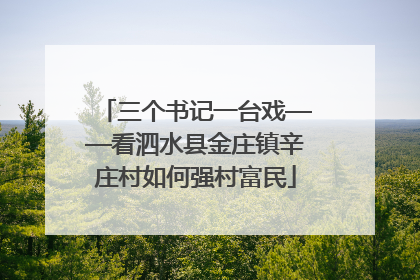 三个书记一台戏——看泗水县金庄镇辛庄村如何强村富民