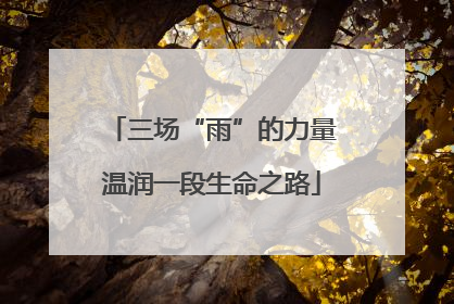 三场“雨”的力量温润一段生命之路