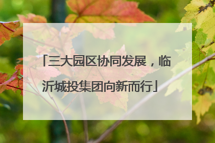 三大园区协同发展，临沂城投集团向新而行