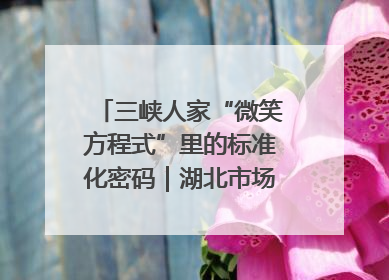 三峡人家“微笑方程式”里的标准化密码｜湖北市场监管所的故事