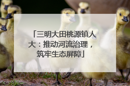三明大田桃源镇人大:推动河流治理,筑牢生态屏障