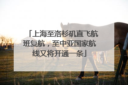 上海至洛杉矶直飞航班复航，至中亚国家航线又将开通一条