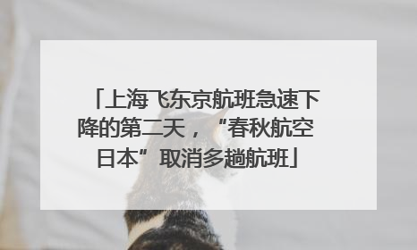上海飞东京航班急速下降的第二天，“春秋航空日本”取消多趟航班