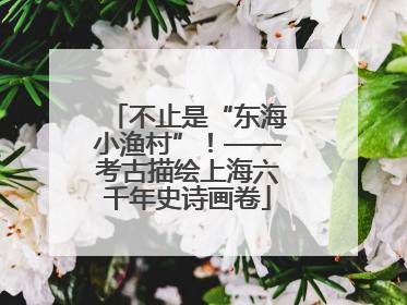 不止是“东海小渔村”！——考古描绘上海六千年史诗画卷