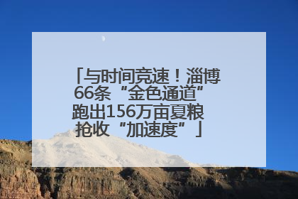 与时间竞速！淄博66条“金色通道”跑出156万亩夏粮抢收“加速度”
