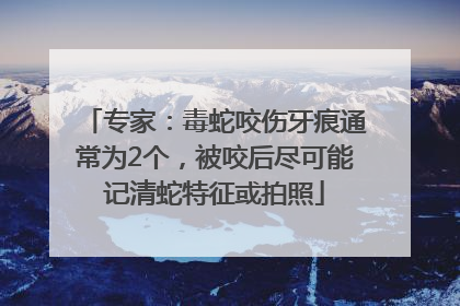 专家：毒蛇咬伤牙痕通常为2个，被咬后尽可能记清蛇特征或拍照