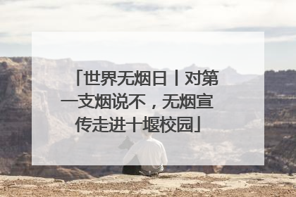 世界无烟日丨对第一支烟说不，无烟宣传走进十堰校园