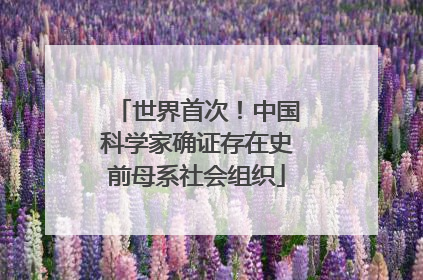 世界首次！中国科学家确证存在史前母系社会组织