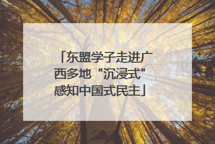 东盟学子走进广西多地“沉浸式”感知中国式民主