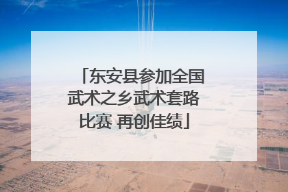 东安县参加全国武术之乡武术套路比赛 再创佳绩