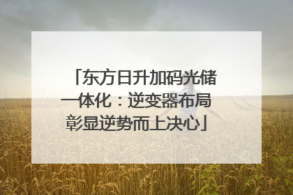 东方日升加码光储一体化：逆变器布局彰显逆势而上决心