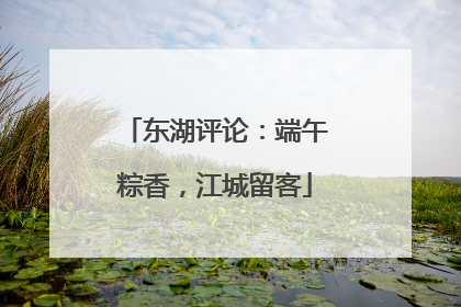 东湖评论：端午粽香，江城留客