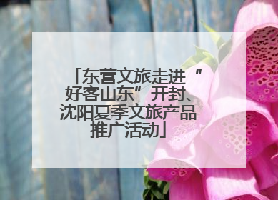 东营文旅走进“好客山东”开封、沈阳夏季文旅产品推广活动