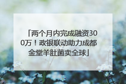 两个月内完成融资300万！政银联动助力成都金堂羊肚菌卖全球
