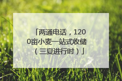 两通电话，1200亩小麦一站式收储（三夏进行时）