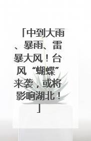 中到大雨、暴雨、雷暴大风！台风“蝴蝶”来袭，或将影响湖北！
