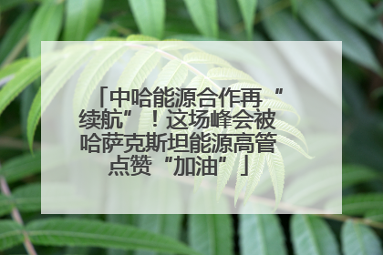 中哈能源合作再“续航”！这场峰会被哈萨克斯坦能源高管点赞“加油”