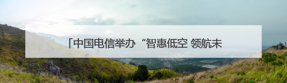 中国电信举办“智惠低空 领航未来”第二届低空经济合作发展大会