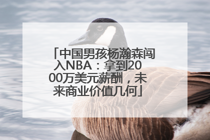 中国男孩杨瀚森闯入NBA：拿到2000万美元薪酬，未来商业价值几何