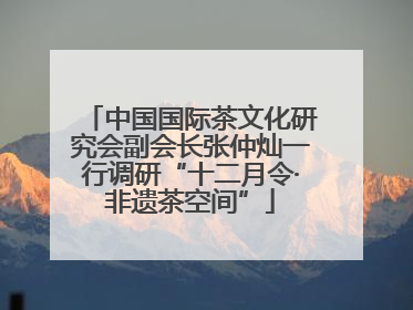 中国国际茶文化研究会副会长张仲灿一行调研“十二月令·非遗茶空间”
