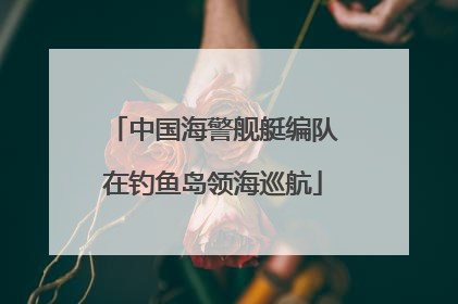 中国海警舰艇编队在钓鱼岛领海巡航