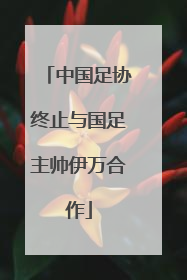 中国足协终止与国足主帅伊万合作
