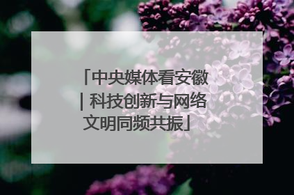 中央媒体看安徽｜科技创新与网络文明同频共振