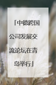 中德跨国公司发展交流论坛在青岛举行